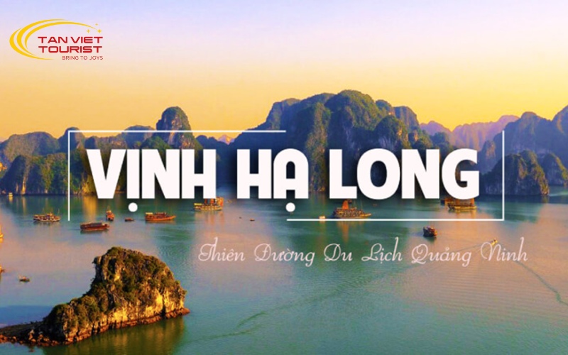 Khám phá hành trình tour nghỉ dưỡng du thuyền Hạ Long 