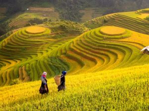 nên đi du lịch sapa vào mùa nào