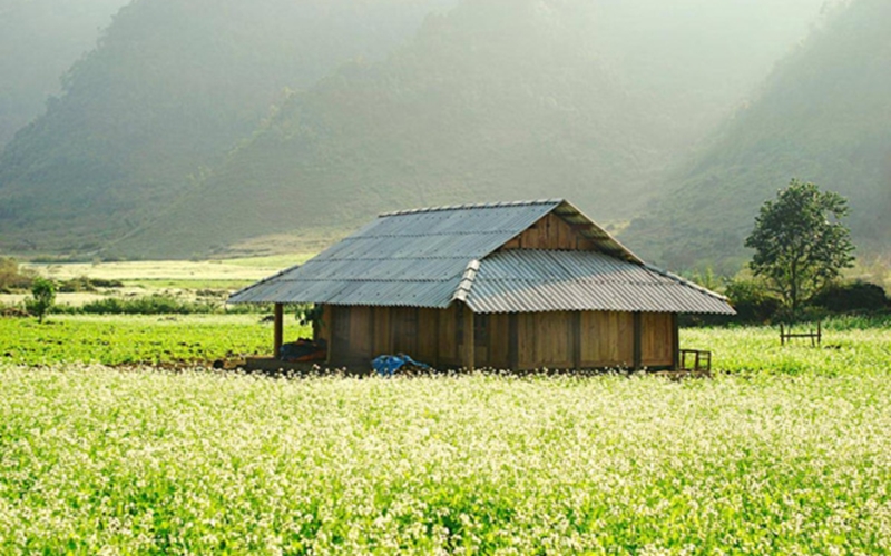 Du lịch Mộc Châu mùa nào đẹp nhất?