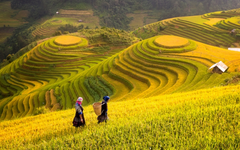 Du lịch Sapa mùa nào đẹp nhất? 4 Mùa sắc màu nơi đây