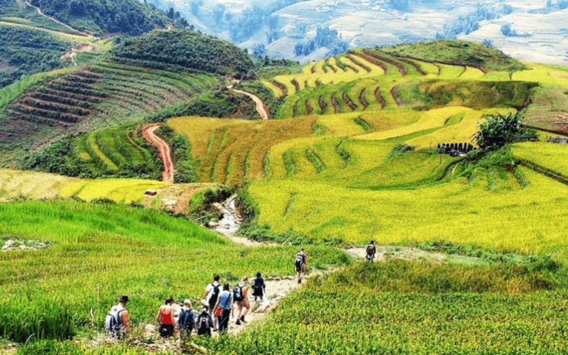 [GIẢI ĐÁP] Vậy nên du lịch Sapa nên đi tour hay tự túc?