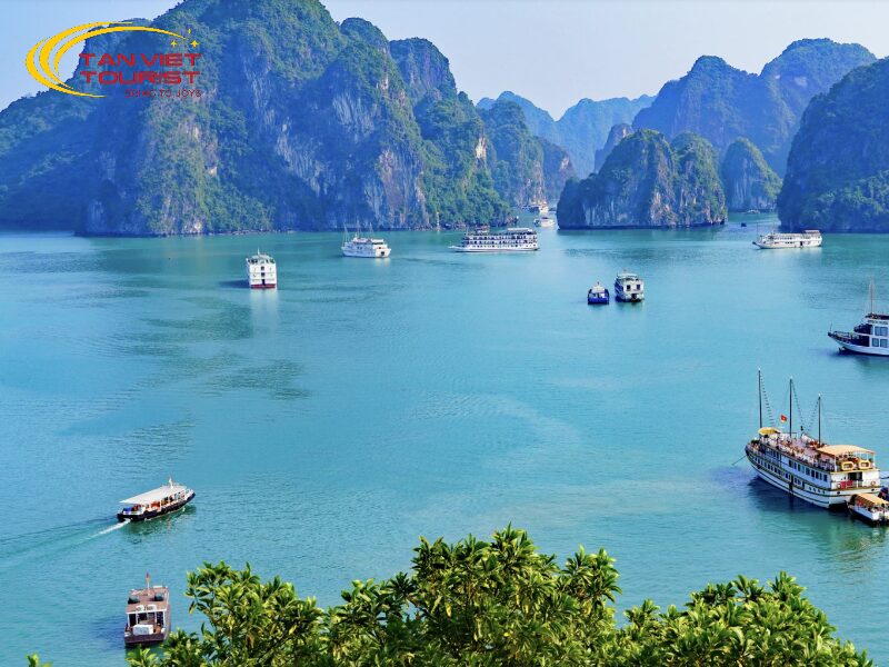 công ty du lịch uy tín tại Hà Nội