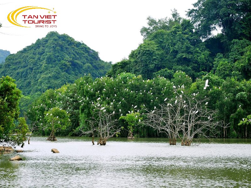 đi ninh bình nên tham quan những đâu