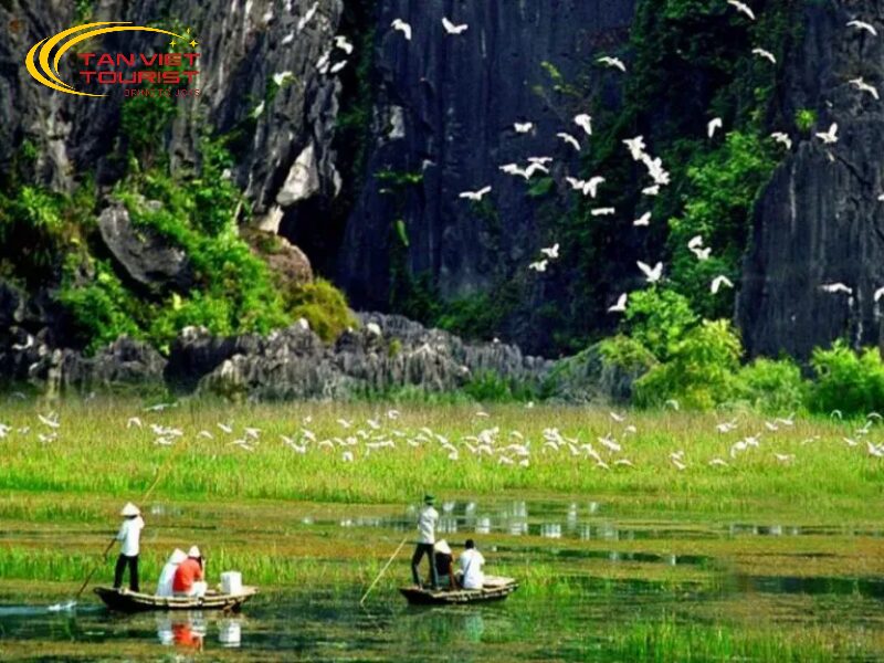 kinh nghiệm du lịch Ninh Bình