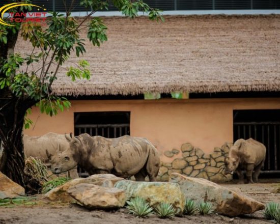 TOUR BẠCH ĐẰNG GIANG - VINWONDERS VŨ YÊN