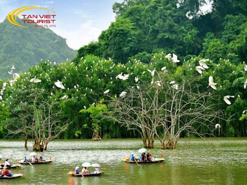 Tour du lịch Ninh Bình trọn gói