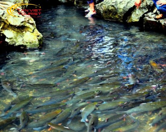 Tour Pù Luông - Suối Cá