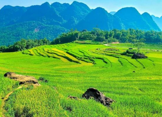 SUỐI CÁ CẨM LƯƠNG – KHÁM PHÁ PÙ LUÔNG