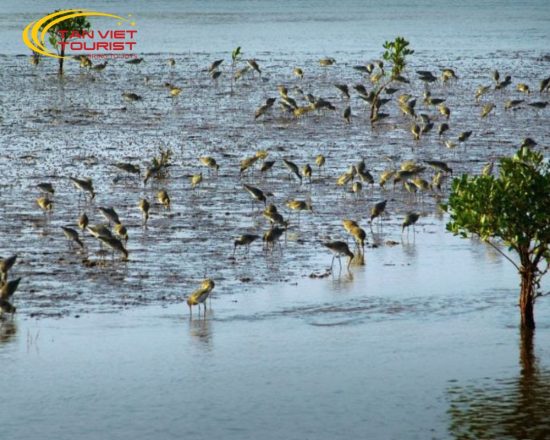 Tour VQG Xuân Thủy - Nhà Thờ Phú Nhai