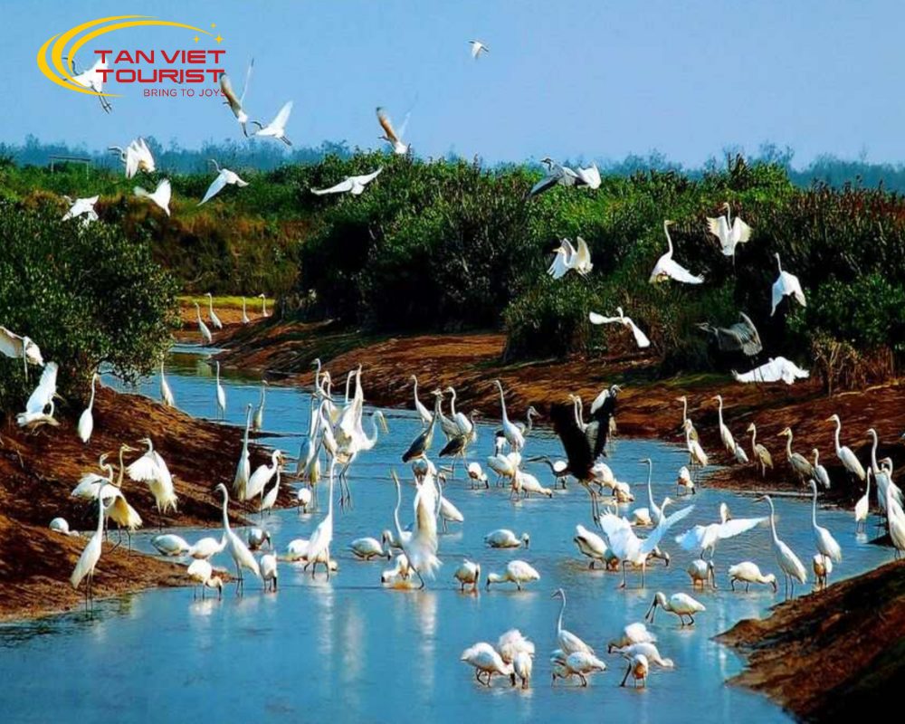 tour-vqg-xuan-thuy-nha-tho-phu-nhai Tour VQG Xuân Thủy - Nhà Thờ Phú Nhai