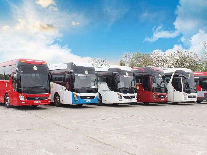 Cần chuẩn bị gì khi đi du xuân đầu năm? Bí quyết để chuyến lễ hội trọn vẹn & may mắn