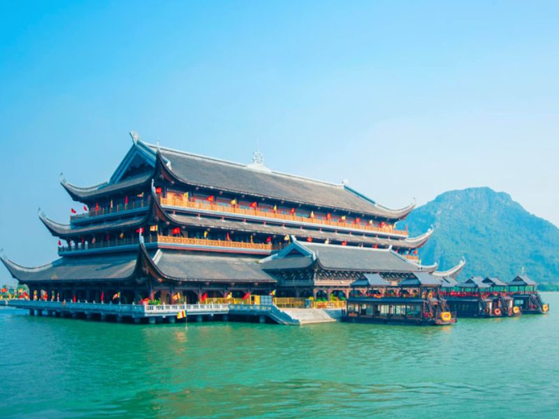 Tân Việt Tourist, Công ty tổ chức tour trong nước uy tín hàng đầu