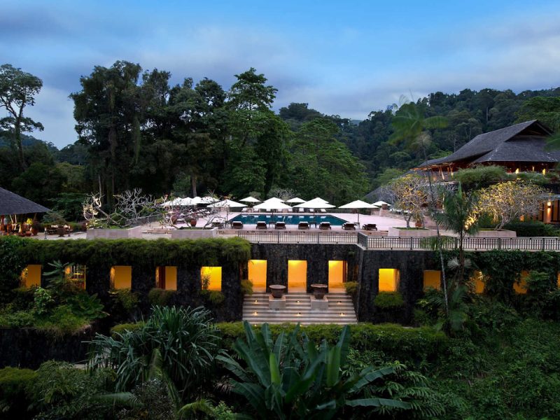 Tân Việt Tourist, Công ty tổ chức tour trong nước uy tín hàng đầu