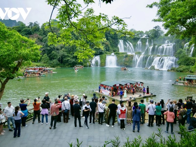 Tân Việt Tourist - Công ty du lịch uy tín miền Bắc