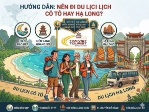 nên đi Cô Tô hay Hạ Long