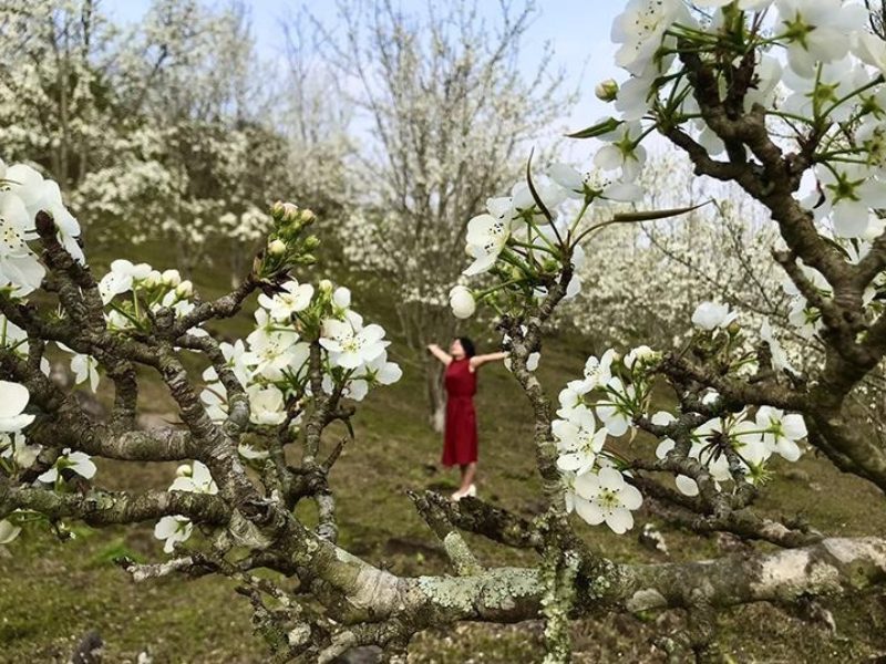 Tổng hợp các tour du xuân đầu năm 2026 để trải nghiệm trọn vẹn bình an, may mắn