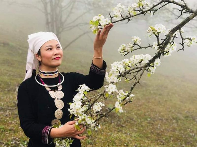  Tour Na Hang mùa hoa lê tháng 3 có gì nổi bật mà ai cũng muốn chọn?